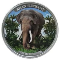 Kambodscha 3000 KHR Asia Big Five Series: Cambodia Asian Elephant (1.) 2023 1 Oz Silber Color