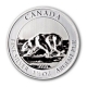 Kanada - 8 CAD Polar Br 2013 - 1,5 Oz Silber